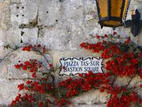 in Mdina