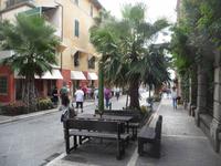 Palmen inmitten von Alassio