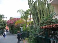 Bei soviel Vegetation erstaunte Blicke.