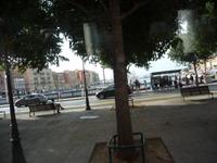 Nizza - eine sehr lebendige Stadt.