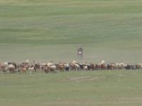 Tradition und Moderne