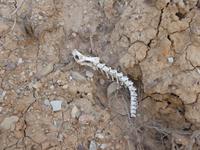 Zagaan-Suwarga-Canyon