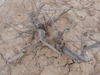 Zagaan-Suwarga-Canyon