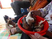 zu Gast bei einer Nomadenfamilie