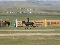 Nadamfest - Pferderennen