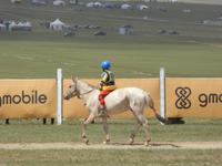 Nadamfest - Pferderennen