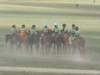 Nadamfest - Pferderennen