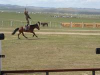 Nadamfest - Pferderennen