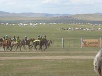 Nadamfest - Pferderennen