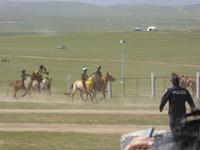 Nadamfest - Pferderennen