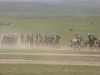 Nadamfest - Pferderennen