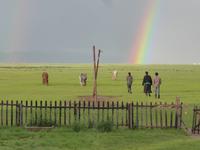 Mongolen gehen zu ihren Pferden.