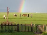Mongolen bei ihren Pferden.