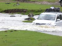Ein Glück - auf dem Dach bleibt's trocken.