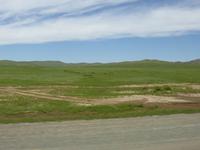 Blick aus dem fahrenden Auto.