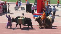 Naadam Fest