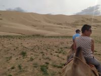 Mit Kamelen zu der Chongor–Sanddüne