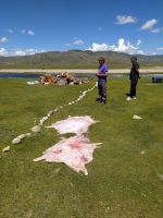 Zu Besuch zum traditionellen Mittagessen bei einer Nomadenfamilie