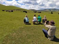 Begegnungen mit Yaks - mongolische Steppenlandschaft 