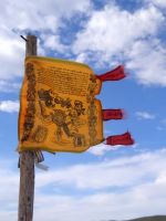 Eine Fahne am Pferdefriedhof