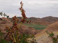 Tag 4 - Das Land der kleinen Steine