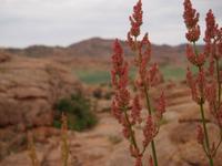 Tag 4 - Das Land der kleinen Steine