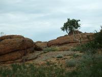 Tag 4 - Das Land der kleinen Steine