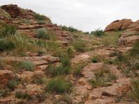 Tag 4 - Das Land der kleinen Steine