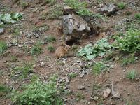 Tag 6 - Geierschlucht