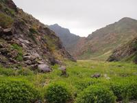 Tag 6 - Geierschlucht