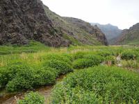 Tag 6 - Geierschlucht