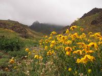 Tag 6 - Geierschlucht