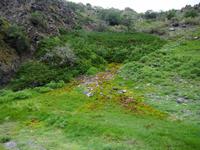 Tag 6 - Geierschlucht