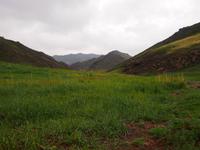 Tag 6 - Geierschlucht