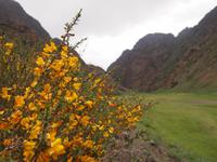 Tag 6 - Geierschlucht