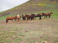 Tag 6 - Geierschlucht
