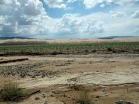 Tag 7 - Sanddüne - Wüste Gobi