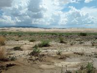 Tag 7 - Sanddüne - Wüste Gobi