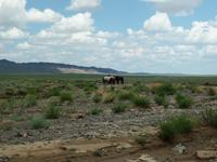Tag 7 - Wüste Gobi