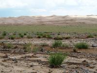 Tag 7 - Wüste Gobi