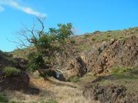 Tag 9 - Ongi Kloster