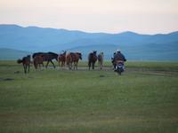 Tag 10 - Nomaden bei der Arbeit