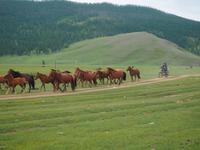 Tag 11 - Nomaden bei der Arbeit