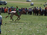 Tag 12 - kleines Naadamfest auf dem Land