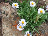 Tag 12 - Vulkan Chorgo