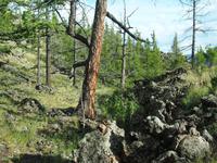 Tag 12 - Vulkan Chorgo