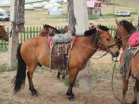 Tag 13 - Reitausflug