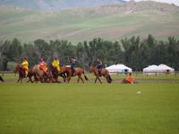 Tag 14 - Pferderennen