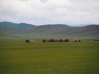 Tag 14 - Pferderennen