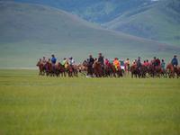 Tag 14 - Pferderennen